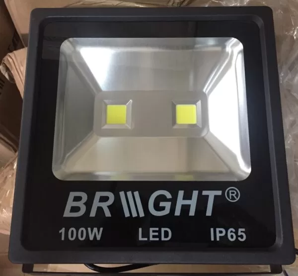 LED Flood Light